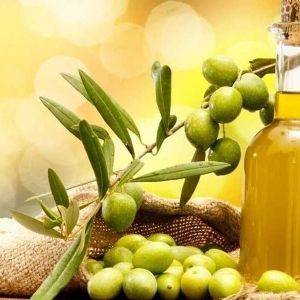 Ant Zeytin fotoğraf 1